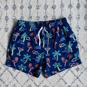 Men’s chubbies swim shorts